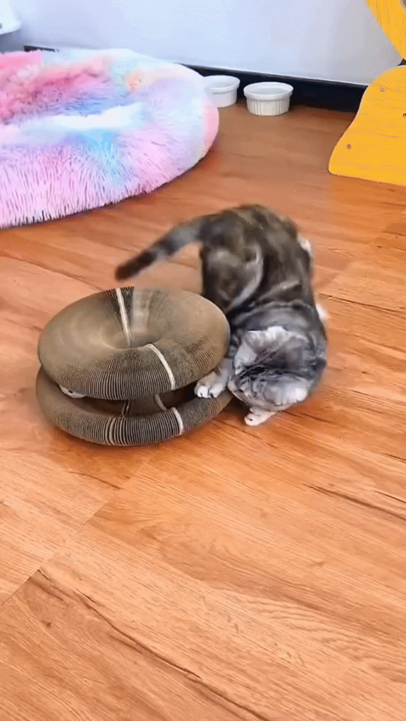 Planche à gratter pour chat